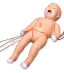 MÔ HÌNH BỤNG MẸ CÓ THAI NHI VÀ HỆ THỐNG TIM THAI ĐIỆN TỬ