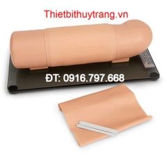 MÔ HÌNH THỰC HÀNH CẤY GHÉP CÁNH TAY S519.PK GAUMARD