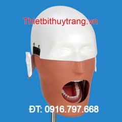 MÔ HÌNH THỰC HÀNH GIẢNG DẠY NHA KHOA NISSIM TYPE 2