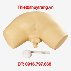 MÔ HÌNH THỰC HÀNH THĂM KHÁM TUYẾN TIỀN LIỆT GD/L63