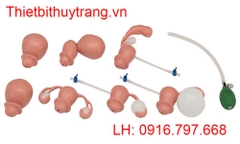 MÔ HÌNH THỰC HÀNH KHÁM PHỤ KHOA LM-110 KOKEN