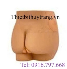 Mô Hình Tiêm Bắp Mông