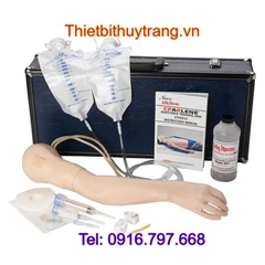 Mô Hình Cánh Tay Tiêm Tĩnh Mạch Cao Cấp Nasco LF04080
