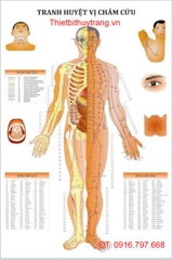 TRANH CHÂM CỨU 3 HÌNH MẶT CẮT