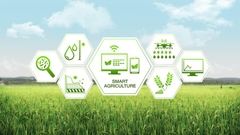 Giải pháp AI/IoT trong nông nghiệp