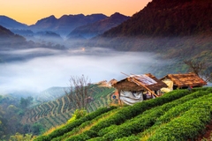 Tour Chiang Mai - Chiang Rai 4N3Đ: Trải Nghiệm Miền Bắc Thái Lan