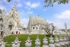 Tour Chiang Mai - Chiang Rai 4N3Đ: Trải Nghiệm Miền Bắc Thái Lan
