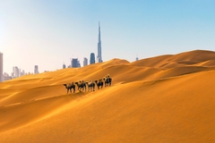 Tour Cao Cấp Dubai 4N4Đ: Dubai - Abu Dhabi - Đài Quan Sát Sky Views