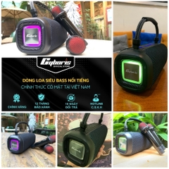 Loa Bluetooth Karaoke Cyboris-T12 80W