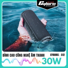 Loa Bluetooth Cyboris-S12 30W