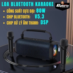 Loa Bluetooth Karaoke Cyboris-T12 80W