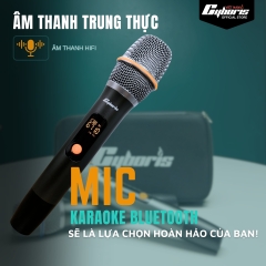 02 Micro Loa Cyboris X12