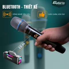 02 Micro Loa Cyboris X12