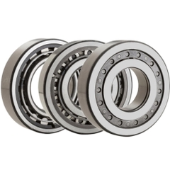 Single row cylindrical roller bearings