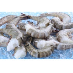 Raw Black Tiger HLSO Shrimp