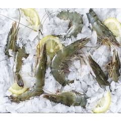 Raw Black Tiger HOSO Shrimp