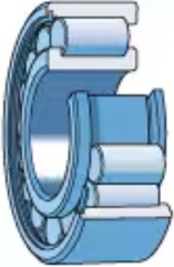 Single row full complement cylindrical roller bearings