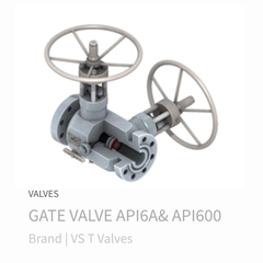 VS T Valves GATE VALVE API6A & API600