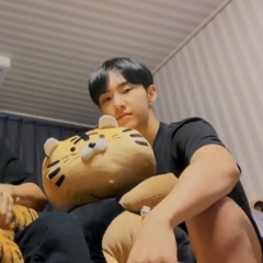 Thú nhồi bông con hổ - Hổ béo Hoshi (Seventeen)