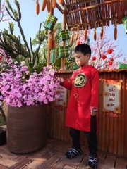 Gấm vân bé trai phối tay thêu rồng