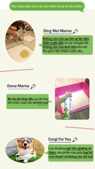 Xịt Khử Mùi Diệt Khuẩn(Dành Cho Chó)/ Odor Removing Anti-Bacterial Spray(For Dog)