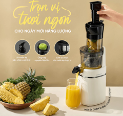 Máy ép chậm trái cây LocknLock EJJ421IVY 200W, Hàng chính hãng, 2 chế độ ép, miệng rộng