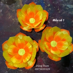 Hoa múa văn nghệ biểu diễn tổng hợp nhiều mẫu hoa siêu đẹp