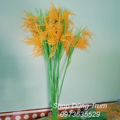 Cây lúa biểu diễn văn nghệ, đạo cụ cây lúa (150k / 1 bó 10 cây)