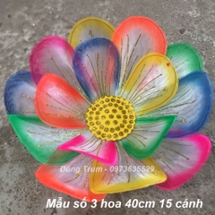 Hoa múa văn nghệ biểu diễn tổng hợp nhiều mẫu hoa siêu đẹp