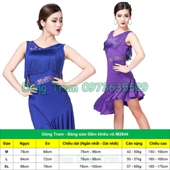 Váy khiêu vũ cao cấp cực đẹp cho câu lạc bộ, nhóm nhảy vũ đoàn M2844