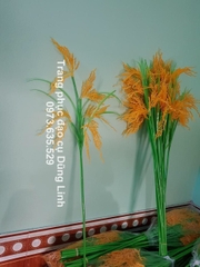 Cây lúa biểu diễn văn nghệ, đạo cụ cây lúa (150k / 1 bó 10 cây)