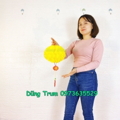 Đèn lồng Cẩm Tú Cầu trang trí chất liệu chống nước cực đẹp