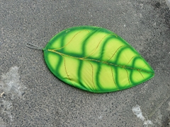 Lá xanh, cánh diều xanh