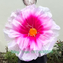 Hoa phù dung múa biểu diễn siêu đẹp, hoa múa phù dung kích thước 60cm