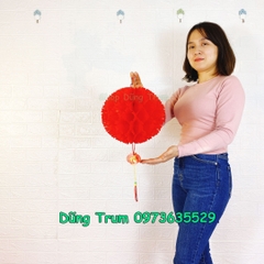 Đèn lồng Cẩm Tú Cầu trang trí chất liệu chống nước cực đẹp