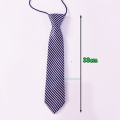 Cà Vạt Đồng Phục Học Sinh Và Nơ Đồng Phục Kẻ Sọc Cá Tính Cho Lớp Quay Chụp Kỷ Yếu