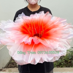 Hoa phù dung múa biểu diễn siêu đẹp, hoa múa phù dung kích thước 60cm