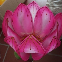 Hoa sen múa văn nghệ chất liệu nan sắt dùng cực bền và đẹp kích cỡ 40cm, 10 cánh