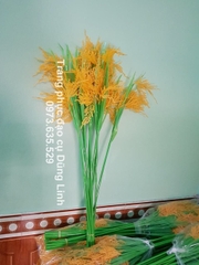 Cây lúa biểu diễn văn nghệ, đạo cụ cây lúa (150k / 1 bó 10 cây)