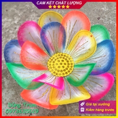 Hoa ngũ sắc múa biểu diễn, hoa múa cầm tay chất liệu nan sắt đàn hồi họa tiết phủ kim tuyến cực đẹp