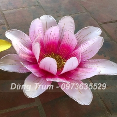 Hoa cúc múa 21 cánh phối màu siêu đẹp, nan sắt đàn hồi cực bền