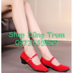 Giày nhung cao gót 4cm, giày nhảy khiêu vũ