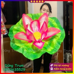 Hoa sen múa văn nghệ kết hợp lá sen cực đẹp