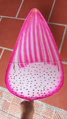 Cánh sen múa biểu diễn, đạo cụ cánh sen biểu diễn kích thước