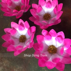 Hoa múa dưỡng sinh, hoa biểu diễn cầm tay mẫu 60cm 18 cánh siêu đẹp