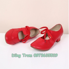Giày Khiêu Vũ DanceSport Cao 4cm Cực Êm Và Chắc Chân KV29