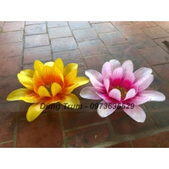 Hoa cúc múa 21 cánh phối màu siêu đẹp, nan sắt đàn hồi cực bền