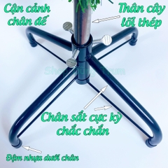 Cây Thông NOEL 2m1 Tán Rộng Đầy Đủ Phụ Kiện Trang Trí Giáng Sinh Ấm Áp