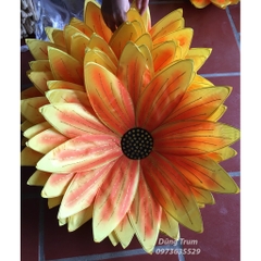 Hoa múa văn nghệ biểu diễn tổng hợp nhiều mẫu hoa siêu đẹp