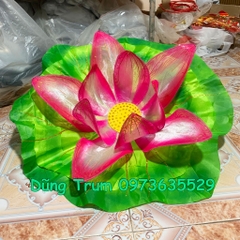 Hoa sen múa văn nghệ kết hợp lá sen cực đẹp